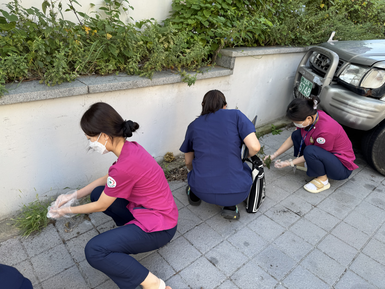 세종요양병원 대청소 실시(20/10/01) 첨부이미지 : IMG_7343.jpg